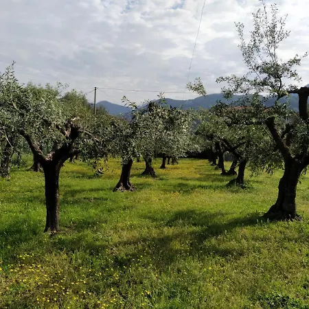 Farmház La Vite Maritata Pietrasanta