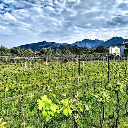 Farmház La Vite Maritata Pietrasanta